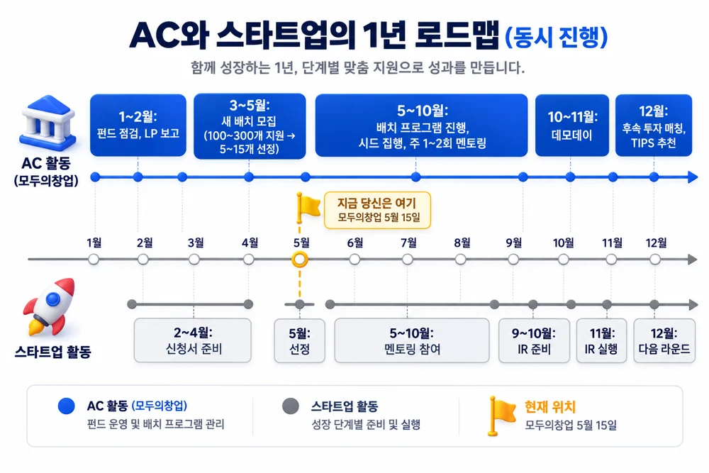 AC 와 스타트업의 1년 로드맵, AC 활동과 스타트업 활동을 월별로 동시 표시, 모두의 창업 5월 15일이 입구